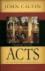 Sermons on the Acts of the Apostles (Calvin)